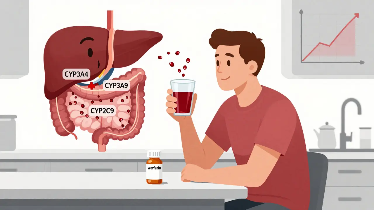 Pomegranate Juice and Medication Interactions: What You Need to Know