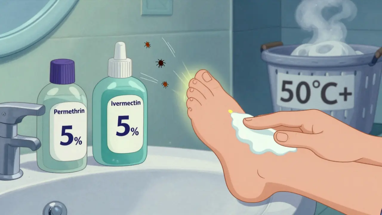 A hand applying scabies cream from neck to toes, with mites fleeing, and hot laundry steaming in the background.