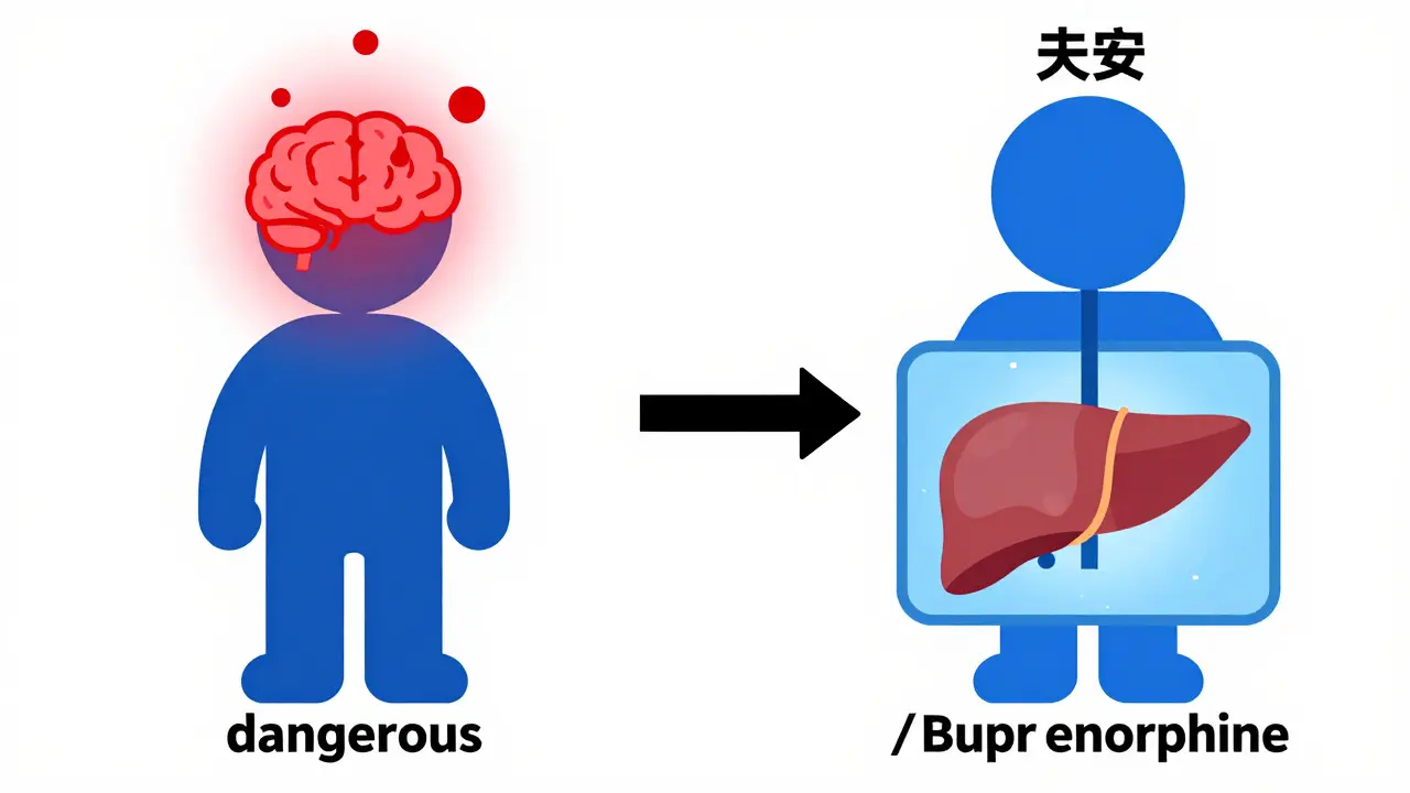 Comparison between toxic metabolite buildup in the brain and efficient liver processing.